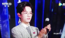 娱乐圈内人爆料博君一肖,娱乐圈内独家爆料，揭秘这对明星的神秘关系