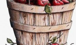 爆料水果桶怎么做的视频,轻松打造夏日清新饮品